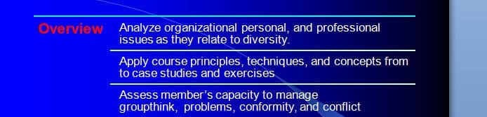 Assume the role of management consultant