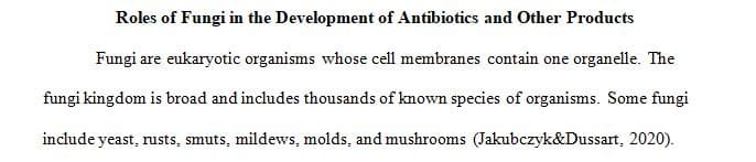 Discuss the roles that fungi have played in our development of antibiotics and other products.