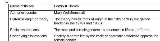 Application of Feminist Theory to a Case Study