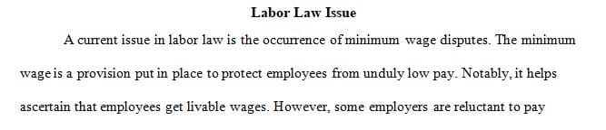 Select a past or current issue in employment law or labor law in the United States.