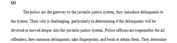 What is the role of police in the juvenile justice system