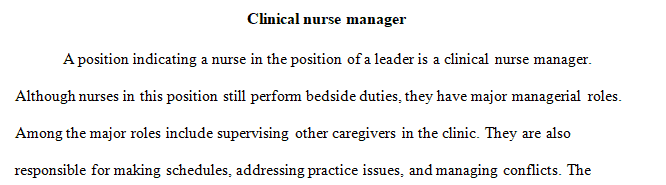 Discuss a formal role where a nurse is in a position of leadership