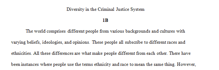 Diversity in Criminal Justice