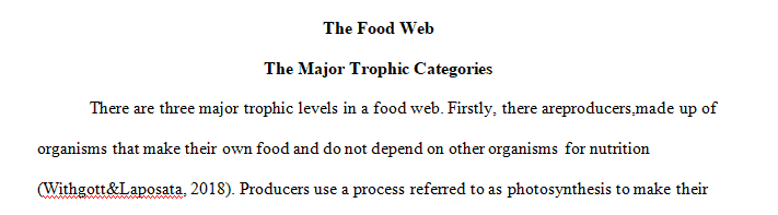 List the three major trophic categories in a food web